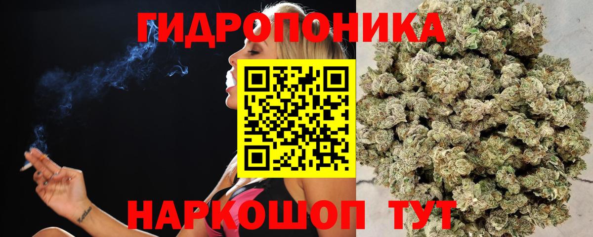 Железноводск  Бошки марихуана конопля  Бошки Шишки планчик  Бошки марихуана THC 21%  Вход с VPN  МАРИХУАНА SATIVA & INDICA 